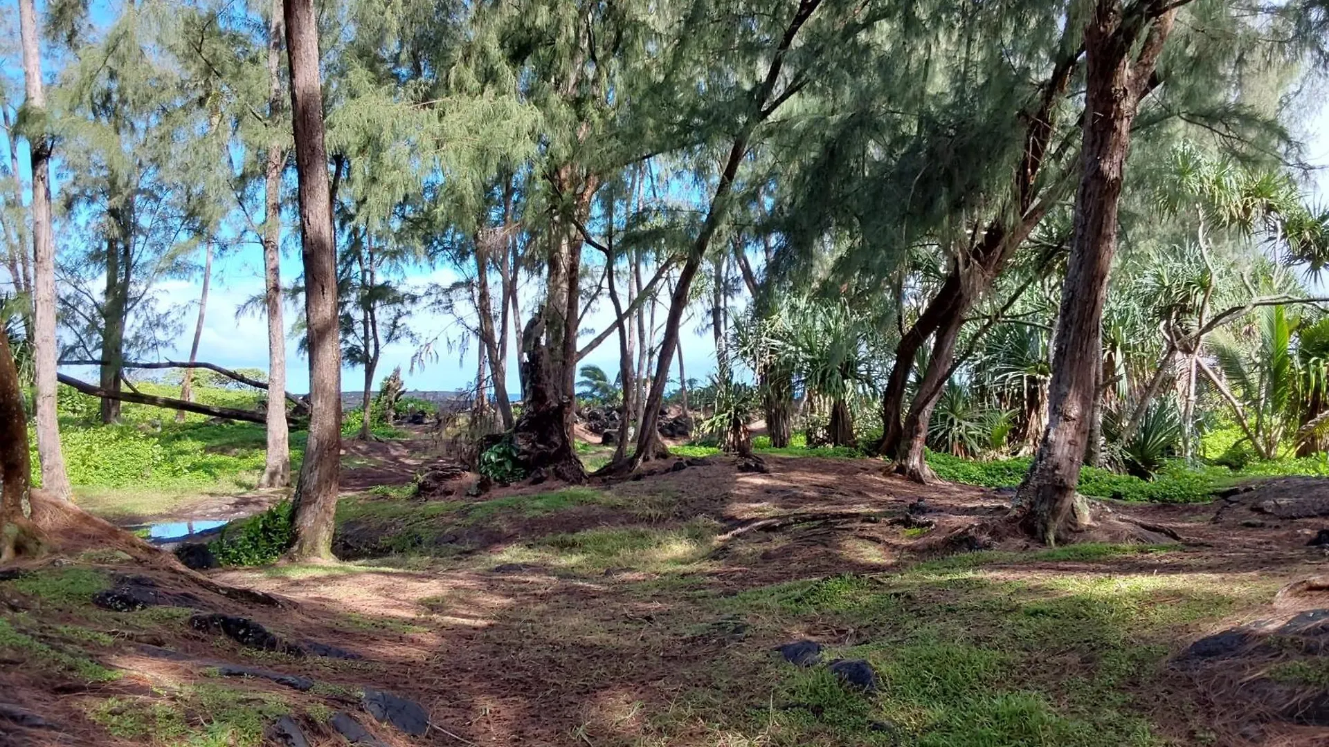 Ainaloa Home Of Big Island For Queens Size Bedroom USA
